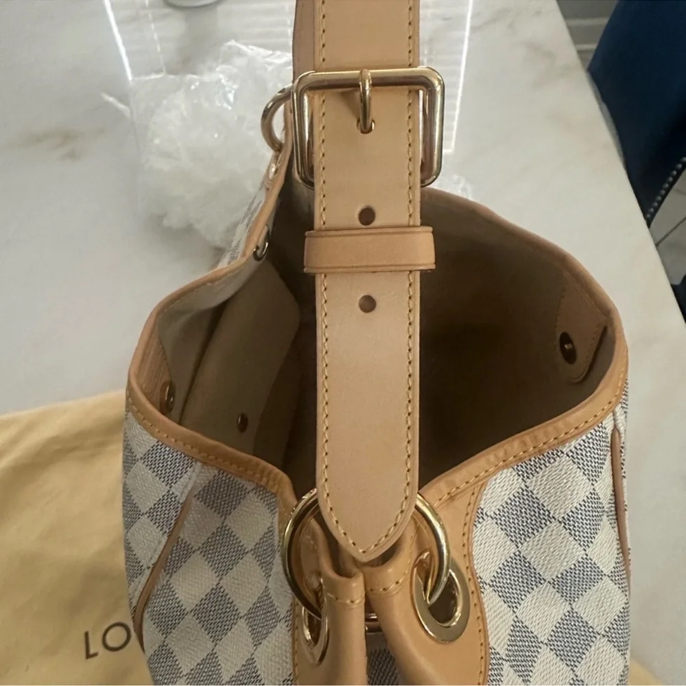 Louis Vuitton Galliera PM - Picture 3 of 10